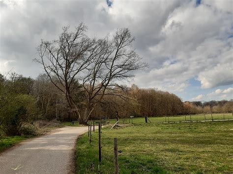 Tree Path Hike Free Photo On Pixabay Pixabay