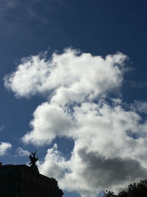 Contrapicado | Contrapicado, Fotografia