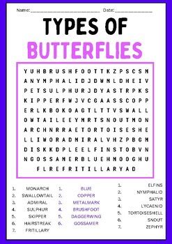 Types Of Butterflies Word Search Puzzles Worksheet Activity TPT