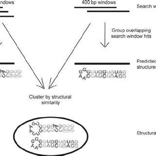 Obtaining predicted secondary structures and structural classes ... 
