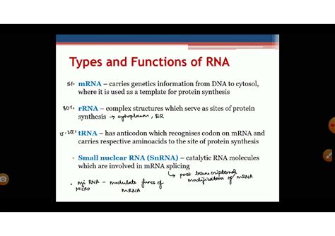 SOLUTION Transcription Prokaryotes Eukaryotes Studypool