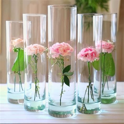 Set Of 6 Mini Glass Cylinder Vases