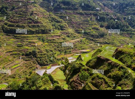 Philippines Rice Terraces Stock Photo - Alamy