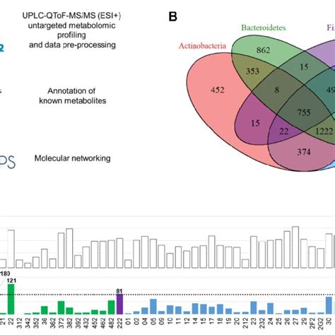 Global Metabolome Analysis Across 60 Bacterial Strains A