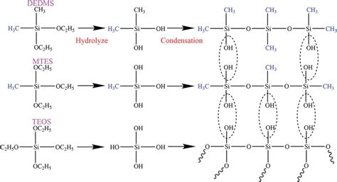 Hydrolysis and condensation reactions of precursor. | Download Scientific Diagram