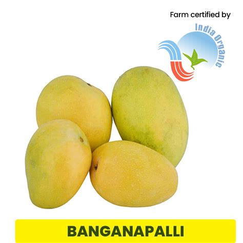 Organic Banaganapalli Mango 1 Kg Online Shopping