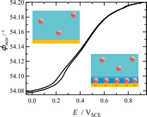 表面等离振子共振揭示au（111）上硫酸盐吸附后双层的组成变化 The Journal Of Physical Chemistry C X Mol