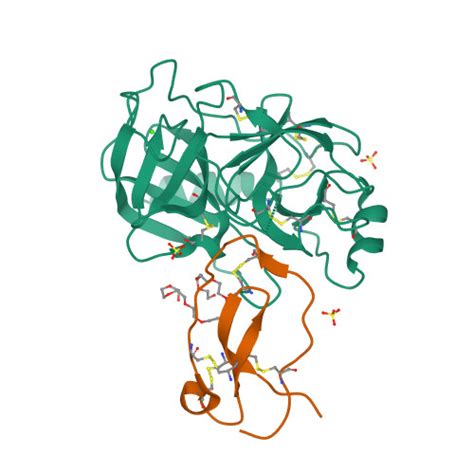 RCSB PDB 4DOQ Crystal Structure Of The Complex Of Porcine Pancreatic