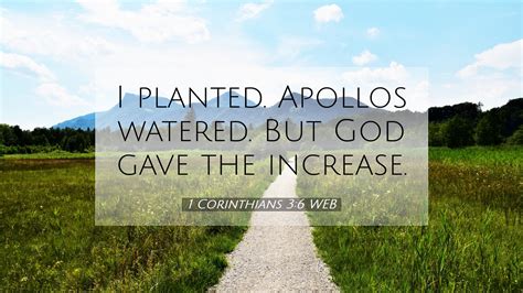 1 Corinthians 3 6 WEB Desktop Wallpaper I Planted Apollos Watered