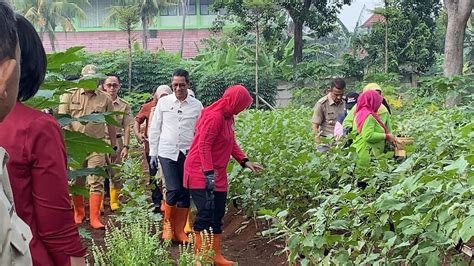 Hadiri Panen Raya Di Jakarta Timur Pj Heru Budi Sebut Jadi Conto