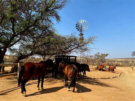 Moonraker Farm Namibia Buchen Iwanowski S Reisen