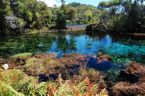 Pupu Springs Tasman New Zealand There Are 2 Reasons Why I Must Go