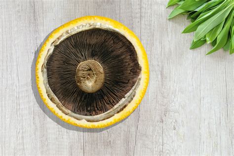 Orange Mushroom Table - Free photo on Pixabay - Pixabay