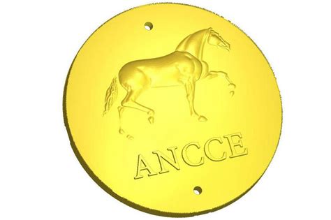 Ancce Crea Una Medalla Como Distinci N Honor Fica A Los Jinetes De La