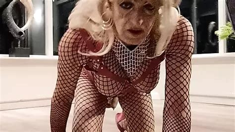 Muy Especial Shemale Fishnet Hd Porn Video Xhamster