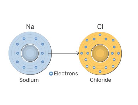 Cations and Anions: examples and diagrams | GetBodySmart