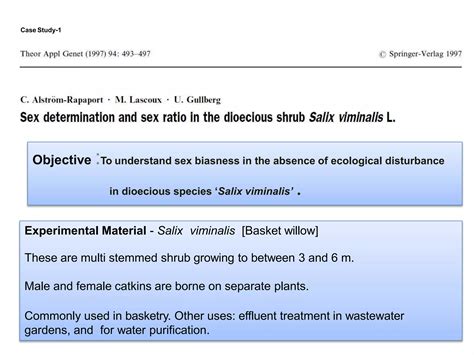 SEX DETERMINATION MECHANISMS IN PLANTS PPTX Reproductive Health Diseases And Conditions