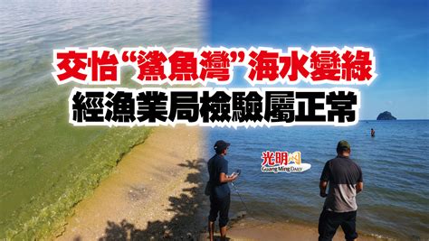 交怡“鯊魚灣”海水變綠 經漁業局檢驗屬正常 北馬 精選 即時 國內 地方 2023 04 02 光明日报