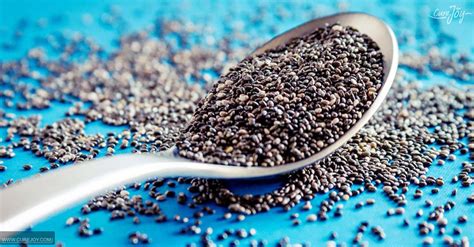 6 Side Effects Of Chia Seeds You Should Heed