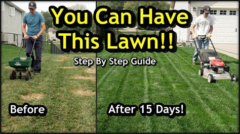 Fix An Ugly Lawn With Overseeding Complete Step By Step Guide For