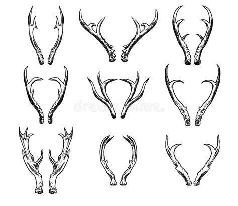 Set Of Hand Drawn Deer Horns Black On The White Background. Stock ...