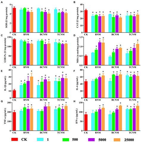 Frontiers Structural And Functional Alterations Of Intestinal Flora