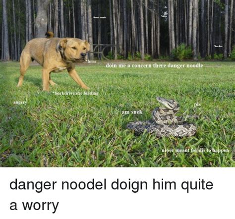 Danger noodle Memes