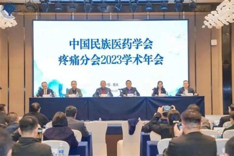 中国民族医药学会疼痛分会2023年学术年会在渝召开 新华网重庆频道