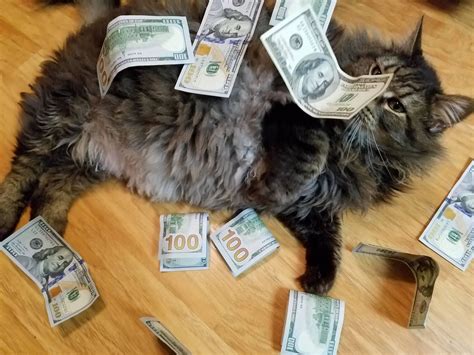 Paying rent | Scrolller