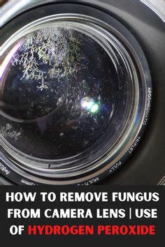 How To Remove Fungus From Camera Lens