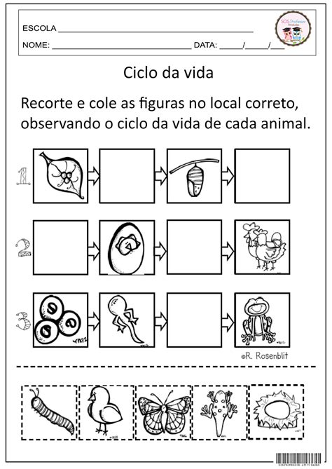 SOSPROFESSOR ATIVIDADES Ciclo Da Vida