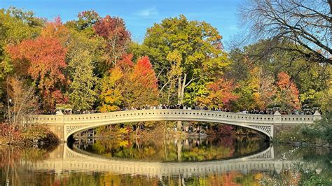 iconic central park bow bridge  officially closed   months
