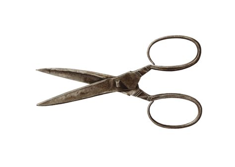 Antique Scissors Vintage Art Free Stock Photo Public Domain Pictures