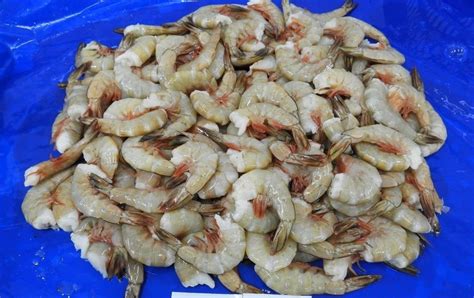 Headless White G2 Shrimps Prawns At Best Price In Chennai By K V