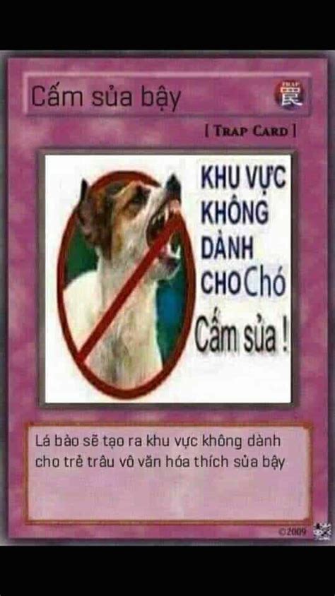 Bài Yugioh Chế Meme Bựa Nhất 100 Ảnh Thẻ Bài Yugioh Meme Vui