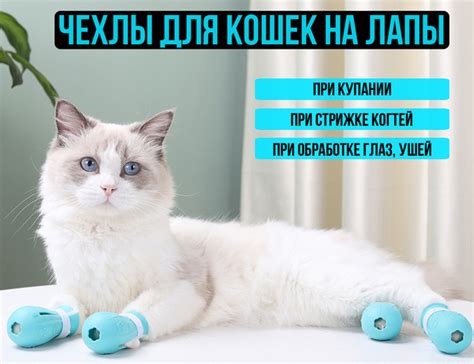 Чехлы для кошек (4шт.) для защиты от царапин (при купании/ при стрижке ...