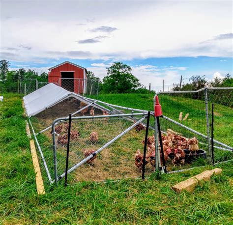 Simple, Cheap and Movable DIY Chicken Tractor (Chicken Pen, Chicken Run ...