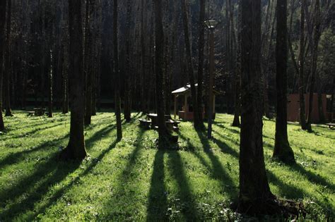 Caminhada E Descida Do Mondego GreenTrekker Pt