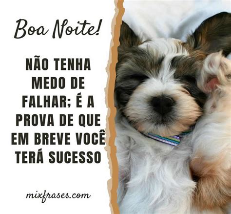 Boa Noite Com Cachorrinhos - Boa noite motivacional com cachorrinho - Mix Frases