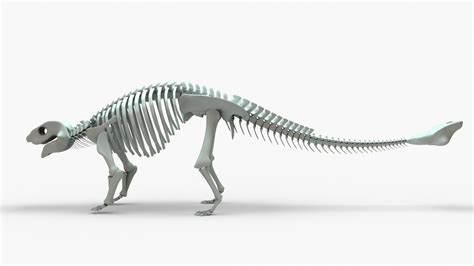 3D Ankylosaurus Rigged Skeleton model - TurboSquid 2131467