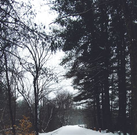 Southampton Travel Guide: Best of Southampton, Massachusetts Travel