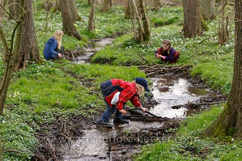 Kind Am Bach Naturfoto Frank Hecker