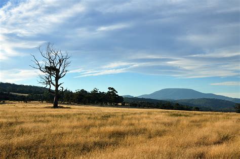 Sky Grassland Tasmania Atsushi Kase Flickr