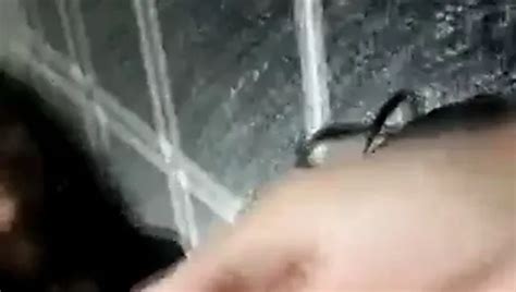 Free Sexy Hard Fuck Porn Videos XHamster