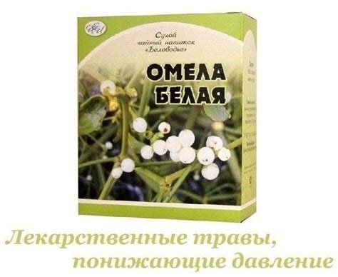 Лекарственные травы, понижающие давление Барвинок малый Для лечения ...