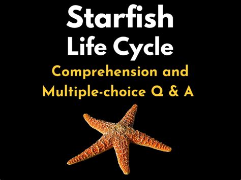 Starfish Life Cycle : Reading Comprehension with Multiple choice ...