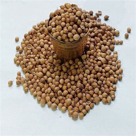 Grade Badami Brown Hybrid Coriander Seed Form Seeds At Rs Kg In