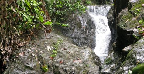 Koh Chang Waterfalls - Klong Plu Waterfall and Others - 2024-25