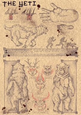 ANATOMIE DES CREATURES FANTASTIQUES Zellgarm Mythological Creatures