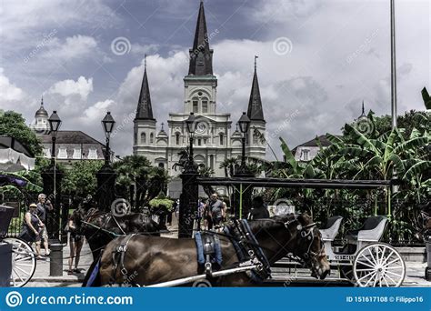 Quarto Do St Louis Cathedral New Orleans French Rua De Decatur Foto De